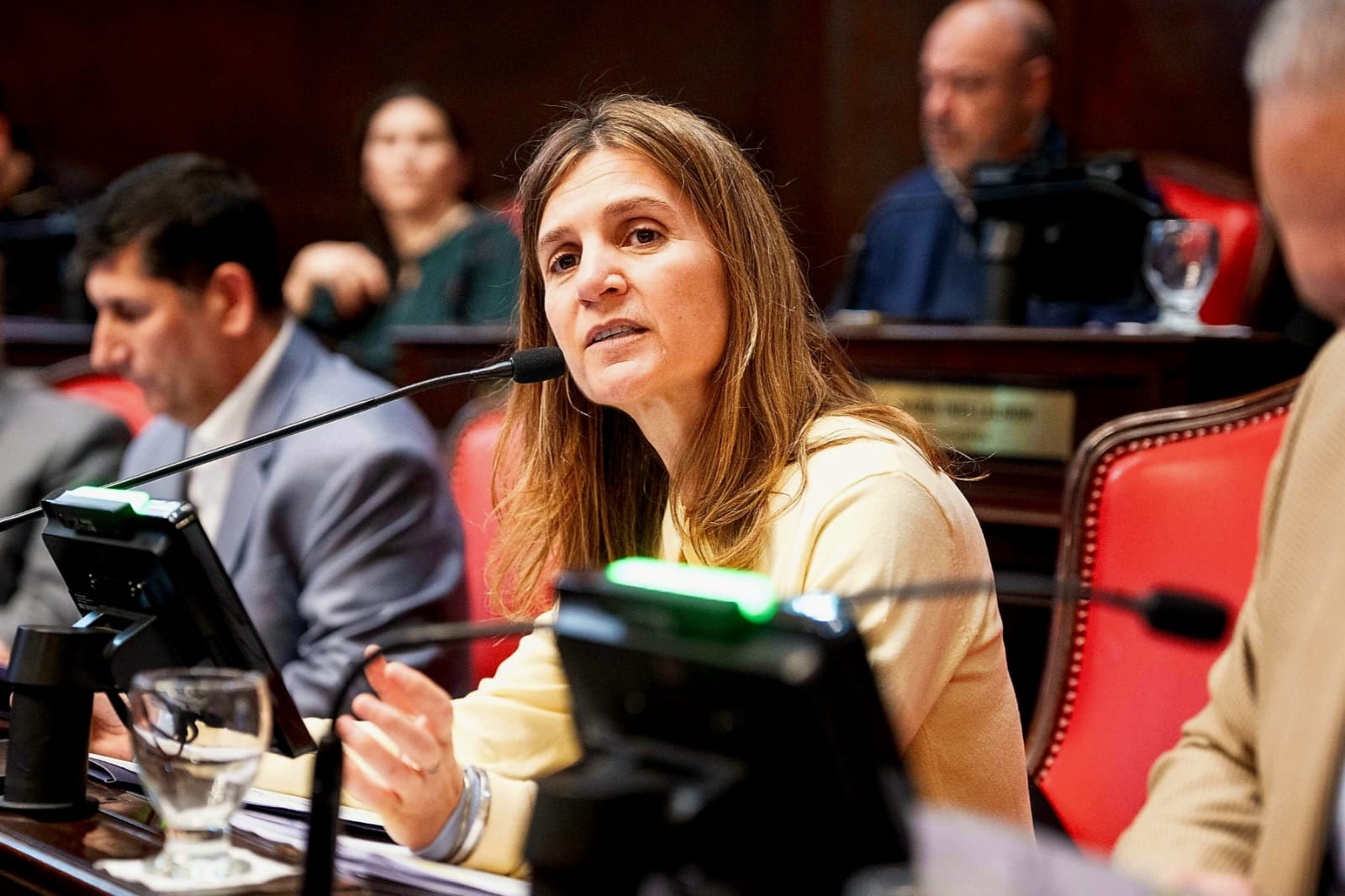 Fernanda Raverta durante una intervención legislativa.
